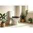 Premium WC-Sitz aus MDF | Mit Geräuscharmer Absenkautomatik & Edler Holzoptik | Universell, Robust & Langlebig | Markenqualität von die Erdbeere（Black）