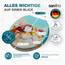 SANFINO® Premium WC Sitz mit Absenkautomatik – hochwertige Toilettendeckel aus Holz, viele bunte Motive, hoher Sitzkomfort, einfache Montage inklusive Montageanleitung – "Cool Cat"