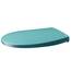 LUVETT® C100 Toilettendeckel mit Absenkautomatik Oval Türkis - SoftClose Klodeckel Abnehmbar - Klobrille aus Antibakteriellem Duroplast - WC Sitz 3in1 Befestigung Inkl. - Toilettensitz Made in EU