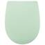 LUVETT® C100 Toilettendeckel mit Absenkautomatik Oval Grün - SoftClose Klodeckel Abnehmbar - Klobrille aus Antibakteriellem Duroplast - WC Sitz 3in1 Befestigung Inkl. - Toilettensitz Made in EU