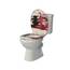 SINOBATH Design WC-Sitz mit Motiv, Soft-Close, Duroplast, Einfache Montage, Quick-Release, UV-beständig