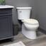 Bemis 7300SLEC Toilettensitz, sanft schließend, leicht zu reinigende Scharniere, robust, hergestellt in den USA, länglich, Creme