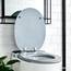 SINOBATH D-Förmiger Premium-Duroplast Toilettensitz mit Edelstahl-Scharnieren & Sanftschließ-Funktion (Weiß)