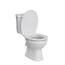 SINOBATH O-förmiger Premium-Duroplast Toilettensitz mit Edelstahl-Scharnieren & Sanftschließ-Funktion