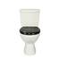 SINOBATH Design WC-Sitz mit Motiv, Soft-Close, Duroplast, Einfache Montage, Quick-Release, UV-beständig
