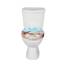 SINOBATH Design WC-Sitz mit Motiv, Soft-Close, Duroplast, Einfache Montage, Quick-Release, UV-beständig