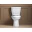 Kohler 4636-96 K-4636-96 WC-Reparatur-Sets, Keks, länglich