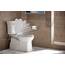 Kohler 4636-96 K-4636-96 WC-Reparatur-Sets, Keks, länglich