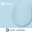 Bemis WC-Sitz 500EC 464 mit Easy Clean & Change Scharnieren, Dresden Blue, 1 Pack rund