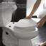Kohler 4636-96 K-4636-96 WC-Reparatur-Sets, Keks, länglich