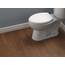 Delta Faucet 811901-WH Wycliffe Elongated Slow-Close Toilet Seat, White by DELTA FAUCET