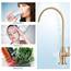 Delle Rosa Gebürsteter goldfarbener Trinkwasserhahn, massives Messing, Küchenwasserfilter-Wasserhahn, klassischer Wasserfilterhahn für Unterspüle, Wasserfiltersystem, gebürstetes Gold (helles Gold)