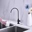 Delle Rosa Trinkwasser-Aufbereiter-Wasserhahn, kommerzielle Wasserfiltrationsarmatur für Unterspüle, Wasserfiltersystem, modernes bestes Messing, mattschwarz, Küche, Bar, Spüle, Trinkwasserhahn