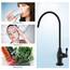 Delle Rosa Trinkwasser-Aufbereiter-Wasserhahn, kommerzielle Wasserfiltrationsarmatur für Unterspüle, Wasserfiltersystem, modernes bestes Messing, mattschwarz, Küche, Bar, Spüle, Trinkwasserhahn
