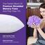 WISHSMILE ZASTION kühlendes geschreddertes Memory-Foam-Kissen zum Schlafen, kühlen, kalten Kissen, Queen-Size-Größe, 2 Stück, mit Reißverschluss, verstellbare Festigkeit für Heiß-, Seiten-, Rücken-
