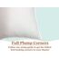 Pillowflex Premium-Polyester-Kisseneinsatz – 66 x 66 cm Kissenform – maschinenwaschbar – großes quadratisches europäisches Akzent-Euro-Kissen – Bettkissen – 1 dekoratives Kissen