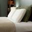 Tempur-Pedic TEMPUR-Cloud Kissen zum Schlafen, Standard, weiß, 1 Count (Pack of 1)