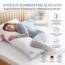 PROCAVE Seitenschläferkissen Top Cool - Kissen lang - atmungsaktives Schlafkissen - Kissen für Seitenschläfer - Body Pillow waschbar - Komfortkissen gegen Rückenschmerzen - Made in Germany - 40x145cm