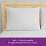 Aller-Ease Ultimativer Kissenschutz, 88% Polyester 12% Nylon, Weiß, 2 Pack, 2
