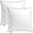 sleepling 2er Set Kopfkissen 60x60 cm, Allergiker Kissen, waschbar, Made in EU, Oeko-TEX, Schlafkissen 60 x 60, Bettkissen, Pillow, 2 Stück, Basic 100