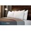 WonderSleep Premium verstellbares Loft [King Size 2er-Pack] – geschreddertes Memory-Schaum-Kissen für Zuhause & Hotel-Kollektion + waschbarer, Abnehmbarer kühlender Bambus-Bezug – 2 Stück King Size
