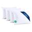 Amazinggirl Kopfkissen 40x60 cm - Kissen Allergiker Schlafkissen Polster Pillow Made in EU und Pillows for Sleeping 60 x 40 Bett Kissens für Schlafen Oeko-Tex Weiß - 4 Stück