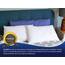 ZOLLNER 2er Set Kissen - Made in Europe – Polyesterfüllung - Bezug aus Mischgewebe - waschbar bis 95°C - 40x60 cm - Hotelqualität - Oeko Tex® Zertifiziert