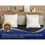 ZOLLNER 2er Set Kissen - Made in Europe – Polyesterfüllung - Bezug aus Mischgewebe - waschbar bis 95°C - 60x60 cm - Hotelqualität - Oeko Tex® Zertifiziert