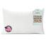 Pillowflex Premium-Polyester-Kisseneinsatz – 50,8 x 66 cm, maschinenwaschbar, weiches Standard-Bett-Schlafkissen – großes rechteckiges Polyester-Kissenbezug-Füllung – 1 dekorative Kissenform