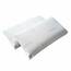 SEASONS – Packung mit 2 viskoelastischen Kissen, 75 cm, milben- und bakterienhemmend, Stoff mit Silberfaden und Aloe Vera, doppelter Bezug, Behandlung mit Ozonreinigung