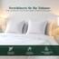 Utopia Bedding – 4er-Set Kissenbezüge – 60 x 60 cm – Oeko-TEX – Gebürstete Mikrofaser, 100% Polyester, mit Umschlagverschluss (Kissenfüllung Nicht enthalten), nur Kissenbezug – Weiß