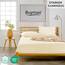 Buymax Spannbettlaken 100x200cm Doppelpack 100% Baumwolle Spannbetttuch Bettlaken Jersey, Matratzenhöhe bis 25 cm, Farbe Beige