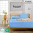 Buymax Spannbettlaken 120x200cm Doppelpack 100% Baumwolle Spannbetttuch Bettlaken Jersey, Matratzenhöhe bis 25 cm, Farbe Hellblau