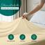 Utopia Bedding - Bettlaken ohne Gummizug 225x255cm - Oeko-TEX Zertifiziert - Weich Gebürstetes Polyester - Mikrofaser Flaches Laken – Beige