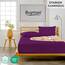 Buymax Topper Spannbettlaken 200x200 cm Spannbetttuch 100% Baumwolle Jersey für Matratzentopper bis 12 cm Matratzenhöhe Bettlaken für Boxspringbett Topper, Aubergine