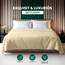 Utopia Bedding - Bettlaken ohne Gummizug 225x255cm - Oeko-TEX Zertifiziert - Weich Gebürstetes Polyester - Mikrofaser Flaches Laken – Beige