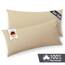 Blumtal Jersey Kissenbezug 30x50 im 2er Set - Oeko-TEX zertifizierte Kopfkissenbezüge 30x50 aus 100% Baumwolle - weiche Kissenhülle für Kissen 30x50 cm mit Reißverschluss - Creme
