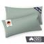 Blumtal Kissenbezug 40x60 cm (2er Set Kissenbezüge) - Hellgrün - 100% Baumwoll-Jersey, Oeko-Tex Zertifiziert, Kopfkissenbezug 40x60 - Jersey Kissenhülle - Bezug für Nackenstützkissen