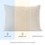 Dreamzie Kissenbezug 30x50 (Set mit 2) - 100% Jersey Baumwolle 150 g/qm Kissenbezüge -Beige - Für Kissenbezug 50x30 cm - Kissenhülle - Resistent und Hypoallergen