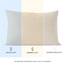 Dreamzie Kissenbezug 50x80 (Set mit 2) - 100% Jersey Baumwolle 150 g/qm Kissenbezüge -Beige - Für Kopfkissenbezug 50x80 - Kissenhülle - Kissenbezug - Resistent und Hypoallergen