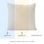 Dreamzie Kissenbezug 60 x 60 cm (Set mit 2) - 100% Jersey Baumwolle 150 g/qm Kissenbezüge -Beige - Für Kissen 60 x 60 cm - Kissenhülle - Kissenbezug - Resistent und Hypoallergen