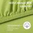 CelinaTex Jersey Spannbettlaken Lucina Doppelpack 180x200-200x200cm grün 100% Baumwolle gekämmt bis 26cm Matratzenhöhe Spannbettbezug, Leintuch, Bettlaken, elastisch, Strech, Oeko-Tex