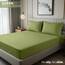 Utopia Bedding Queen-Size Spannbettlaken, Tiefe Taschen, weiche Mikrofaser, schrumpf- und farbbeständig, pflegeleicht, nur 1 Spannbettlaken (Olivgrün)