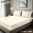 Utopia Bedding Queen Spannbettlaken, Unterlaken, Tiefe Taschen, Weiche Mikrofaser, Schrumpf- und Lichtbeständig, Pflegeleicht, 1 Spannbettlaken (Elfenbein)