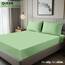 Utopia Bedding Queensize-Spannbetttuch, Tiefe Taschen, weiche Mikrofaser, schrumpft und lichtbeständig, pflegeleicht, nur 1 Spannbetttuch, Salbeigrün