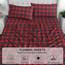 Ruvanti 4-teiliges Flanell-Bettwäsche-Set für Queen-Size-Betten, 100% Baumwolle, mit tiefen Taschen, warm, inklusive Bettlaken, Spannbetttuch und 2 Kissenbezügen (Kariertes Weihnachtsmotiv)