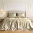 Satin Sheets Queen [4-teilig, Champagner Gold] Hotel-Luxus-Bettwäsche-Set, seidig, extra weiches 1800 Mikrofaser, knitterfrei, farbecht, schmutzabweisend, tiefes Spannbetttuch, Bettlaken, Kissenbezüge