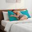 Elegant Comfort Luxuriöser, ultraweicher 1-teiliger Körperkissenbezug, 1500 Premium-Mikrofaser in Hotelqualität, doppelt gebürstet, knitterfrei, Größe Körperkissenbezug, Türkis