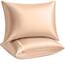 Shop Bedding Luxus Satin Kissenbezug für Haar-Satin Euro Kopfkissenbezug mit Reißverschluss, Blissford KÖNIG (2-Pack) Champagner