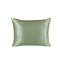 SHOPBEDDING Shop Bedding Luxus Satin Kissenbezug für Haar-Satin Euro Kopfkissenbezug mit Reißverschluss, Blissford Königin (2-Pack) Salbei